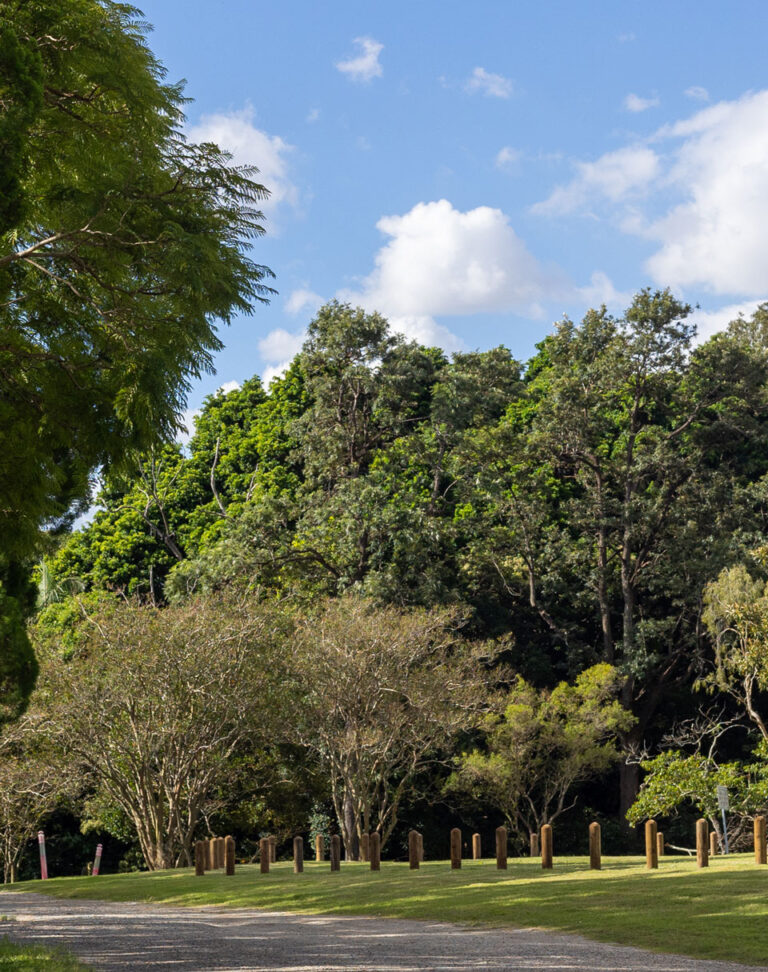 Thomas Park Gardens – Historic bougainvillea gardens showcasing a spectacular display of vibrant blooms, reflecting the area’s rich horticultural heritage. molum.